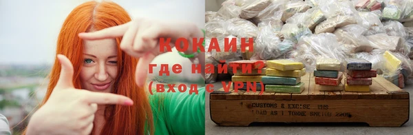 сатива Елабуга