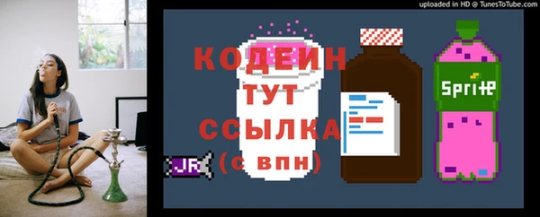 сатива Елабуга