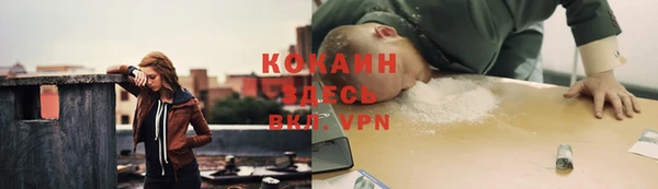 jwh Ельня