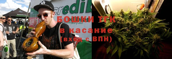 сатива Елабуга