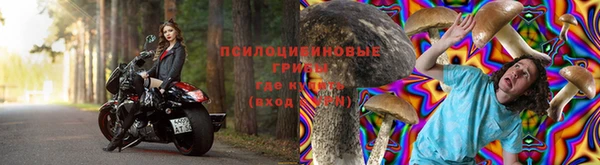 jwh Ельня