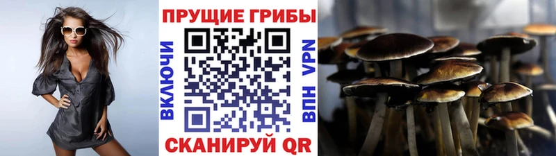 Галлюциногенные грибы MAGIC MUSHROOMS Купить Рославль